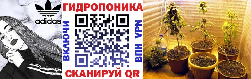 Шишки марихуана планчик  Усть-Лабинск 